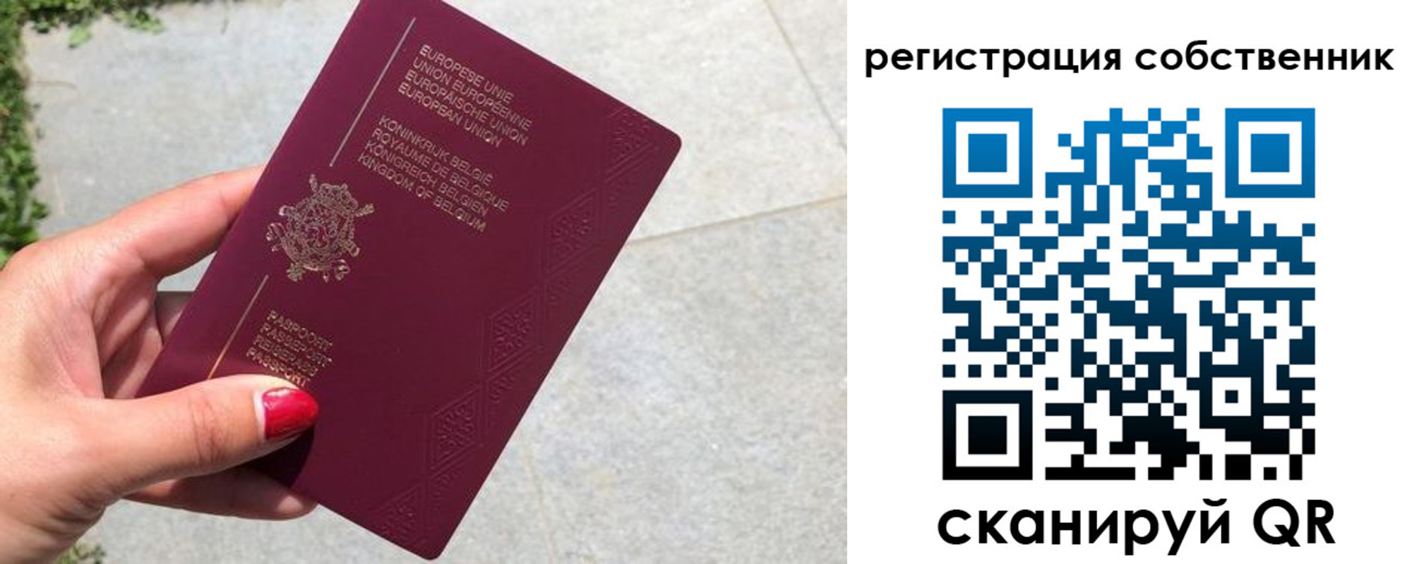 временная регистрация поиск в Красном Куте